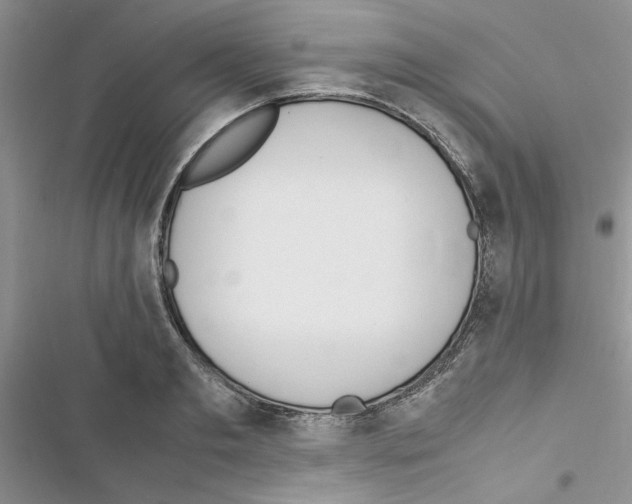 X0000116620893201001221337