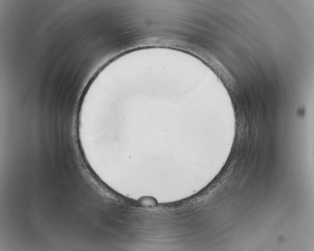 X0000116620896201001221337