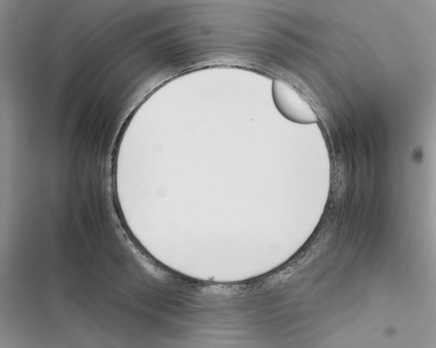 X0000116620898201001221337