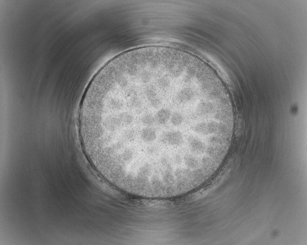 X0000116620899201001221337