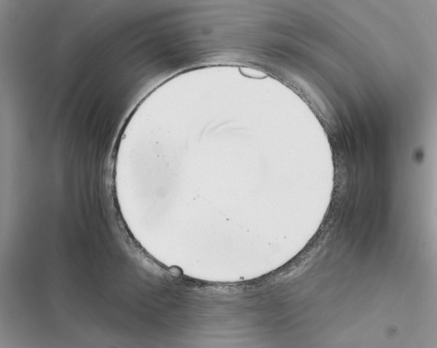 X0000116620900201001221337