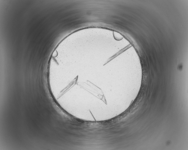 X0000116620903201001221337