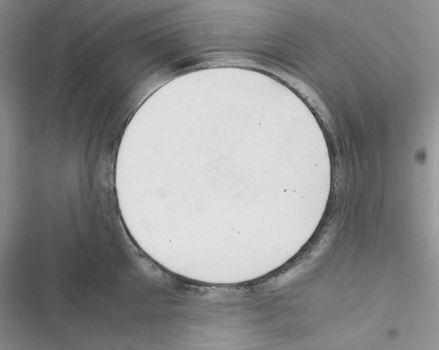 X0000116620905201001221337