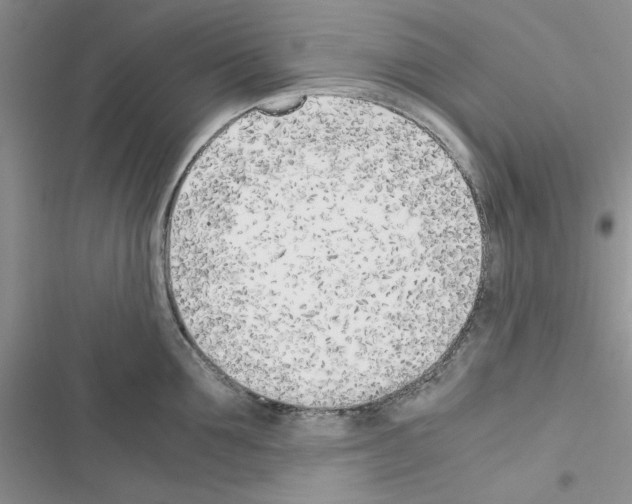 X0000116620907201001221337