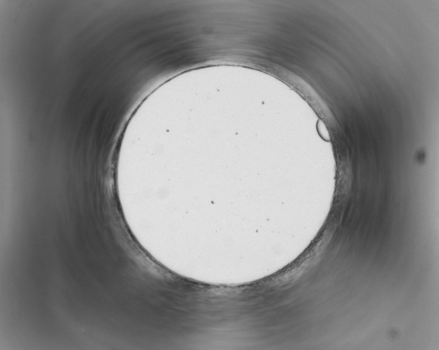 X0000116620908201001221337