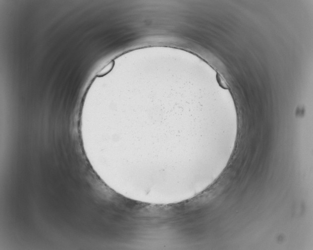 X0000116620912201001221337