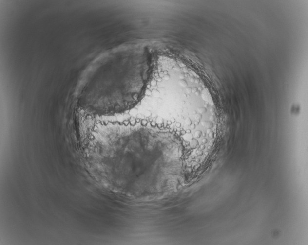 X0000116620913201001221336