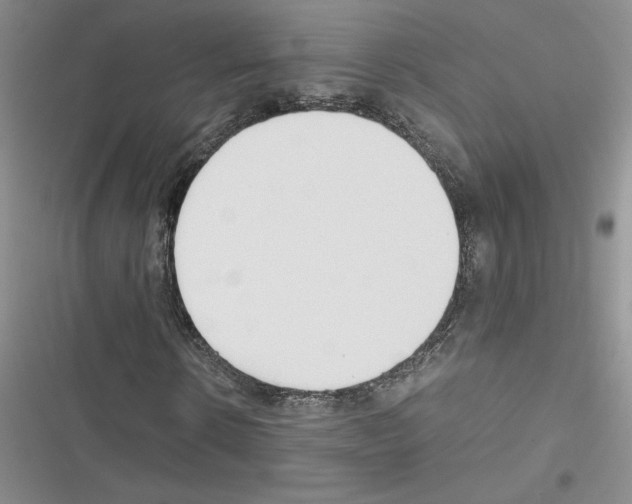 X0000116620914201001221336