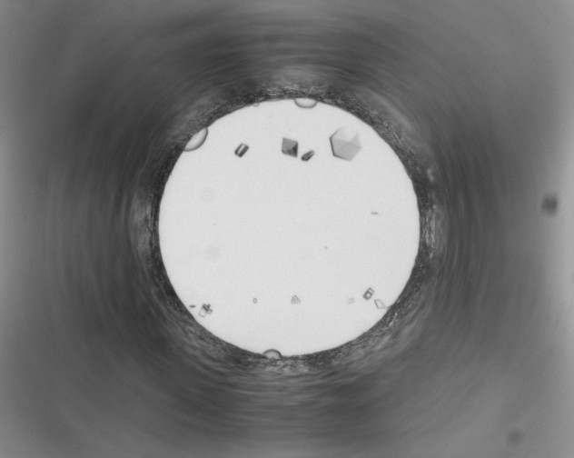 X0000116620915201001221336