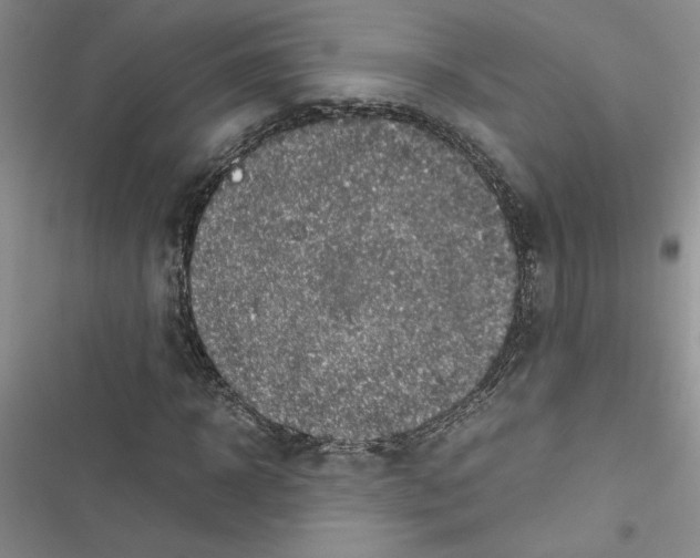 X0000116620918201001221336