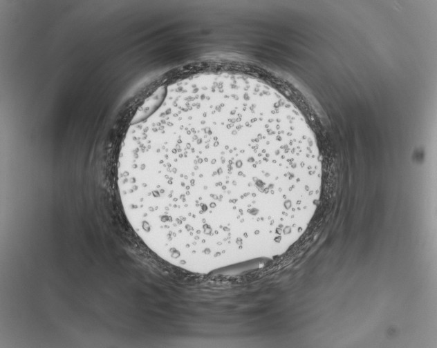 X0000116620919201001221336