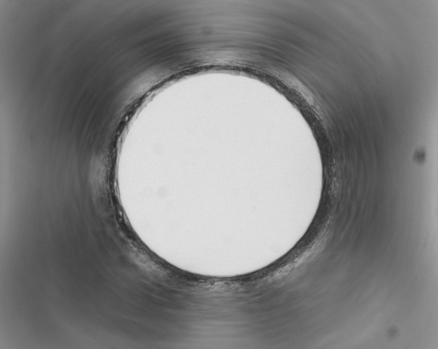 X0000116620922201001221336