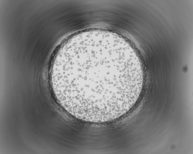 X0000116620923201001221336