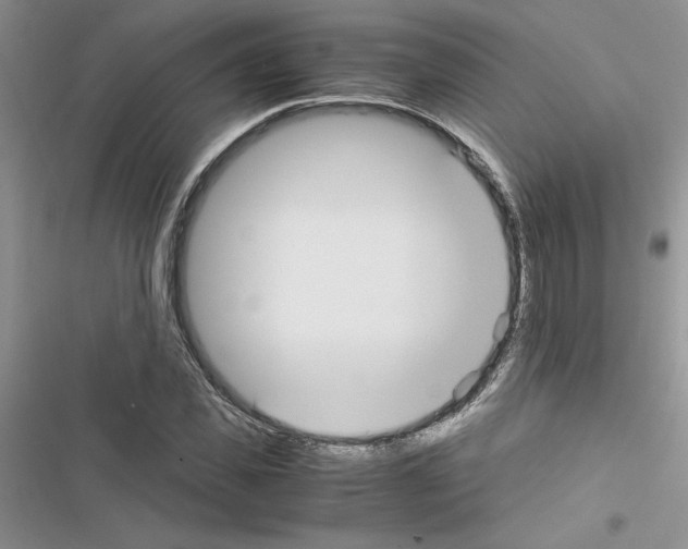 X0000116620925201001221336