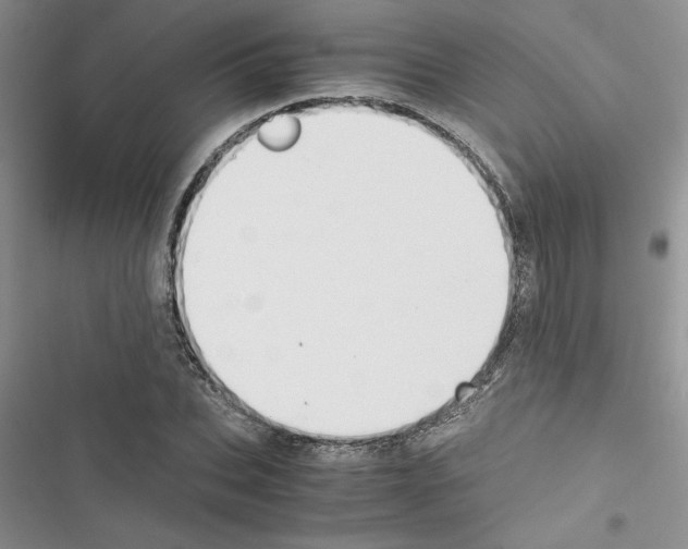 X0000116620927201001221337