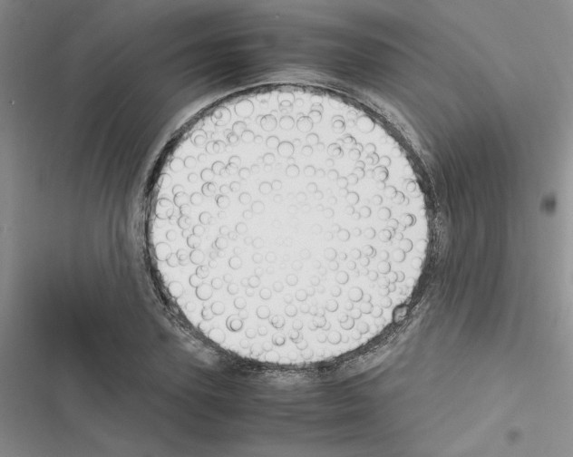 X0000116620931201001221337