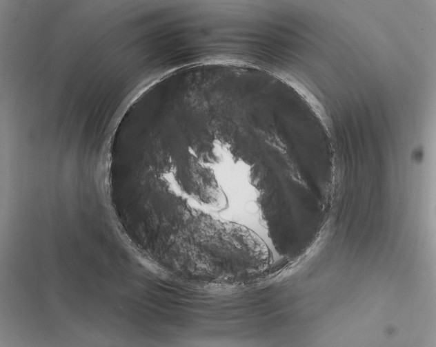 X0000116620933201001221337
