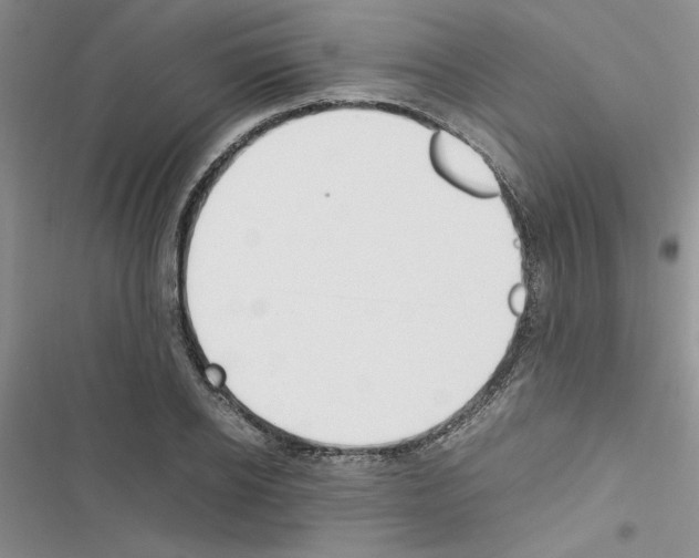 X0000116620934201001221337