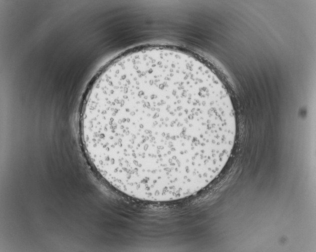 X0000116620935201001221337