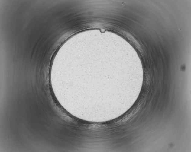 X0000116620938201001221337