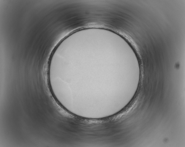 X0000116620941201001221337