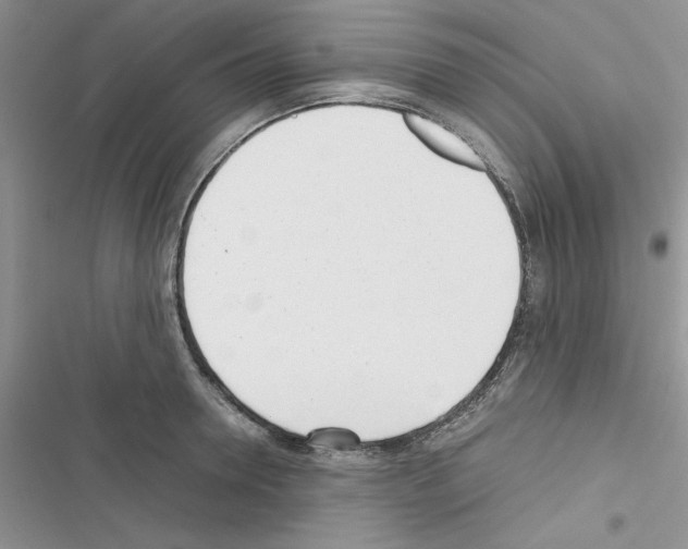 X0000116620946201001221337