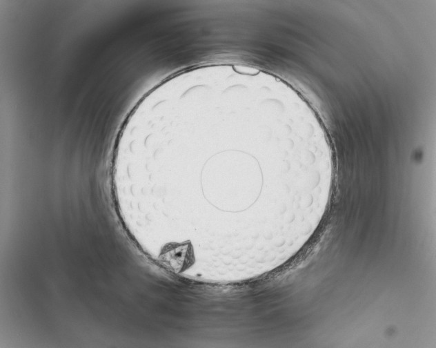 X0000116620949201001221337