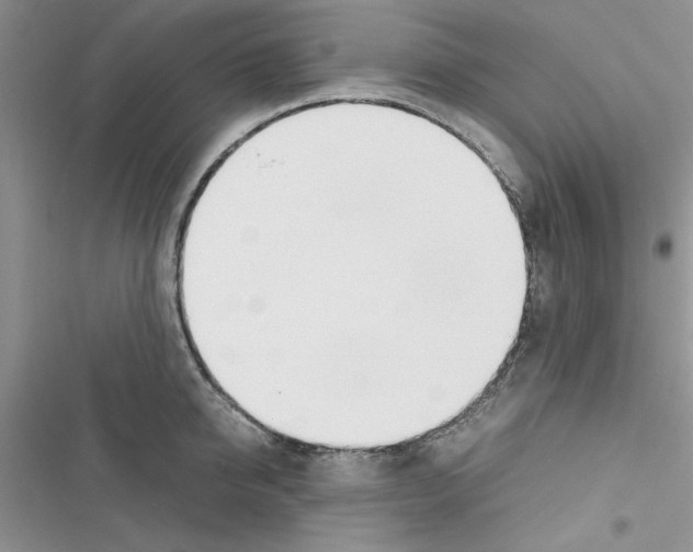 X0000116620950201001221337