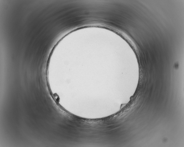X0000116620951201001221337