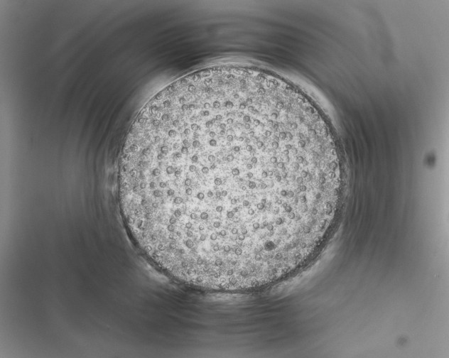 X0000116620953201001221337