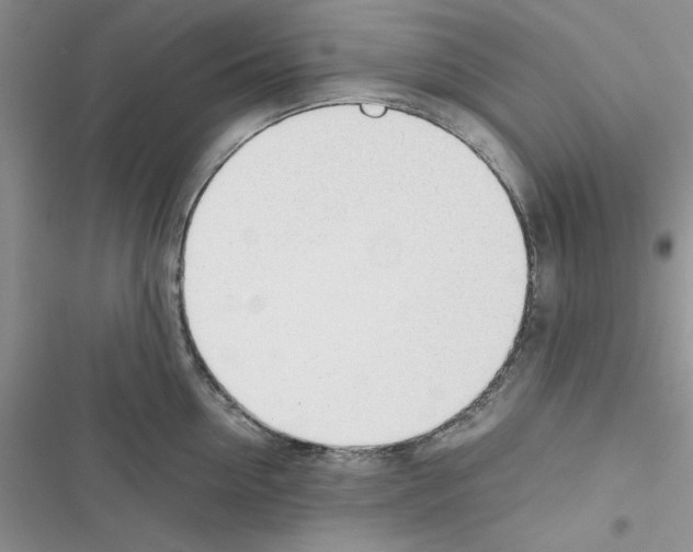 X0000116620954201001221337