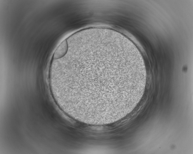 X0000116620959201001221337