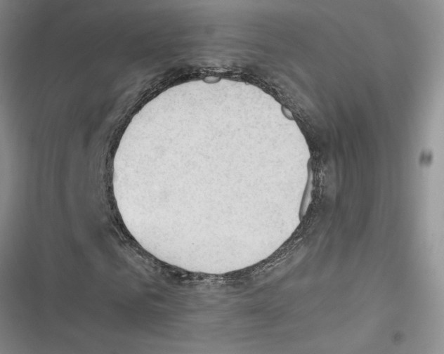 X0000116620961201001221336