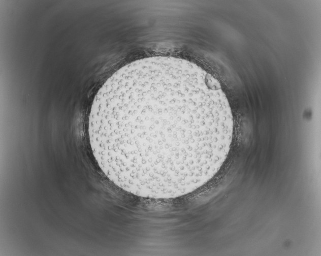 X0000116620962201001221336