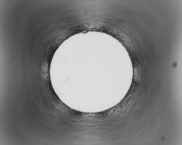 X0000116620963201001221336