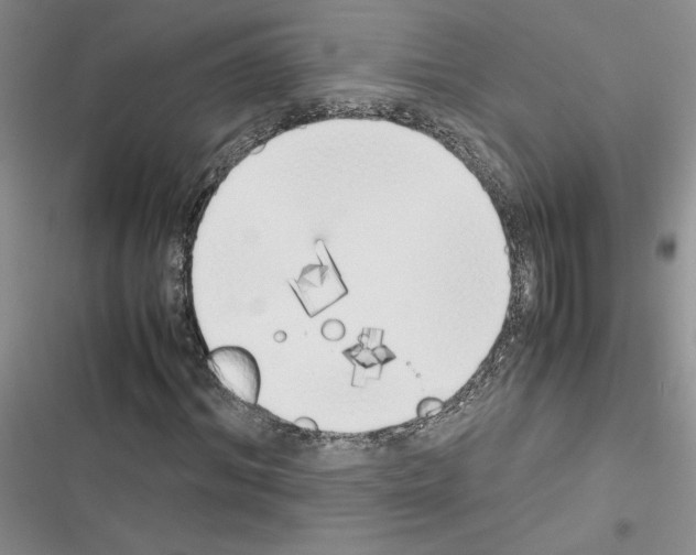 X0000116620964201001221336
