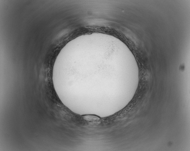X0000116620965201001221336
