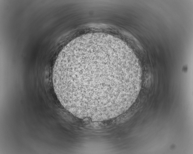 X0000116620966201001221336