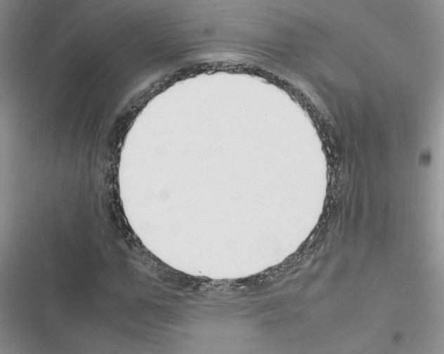 X0000116620967201001221336