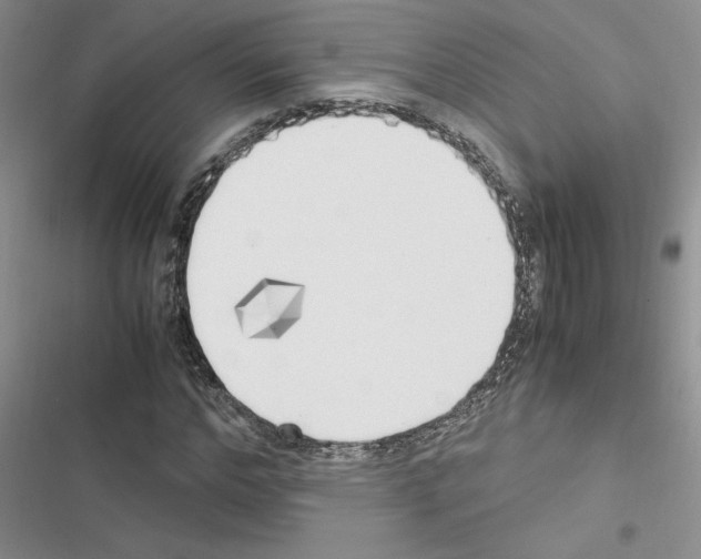 X0000116620968201001221336