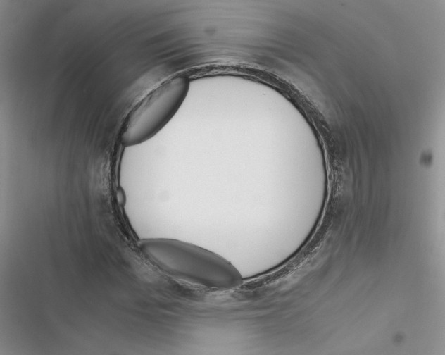 X0000116620969201001221336