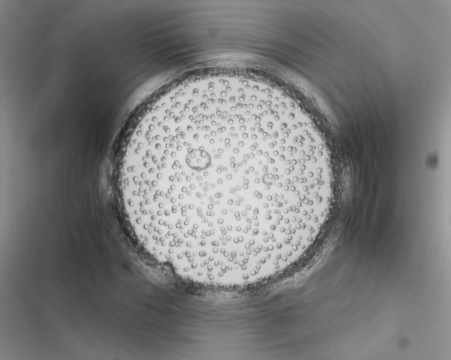 X0000116620970201001221336