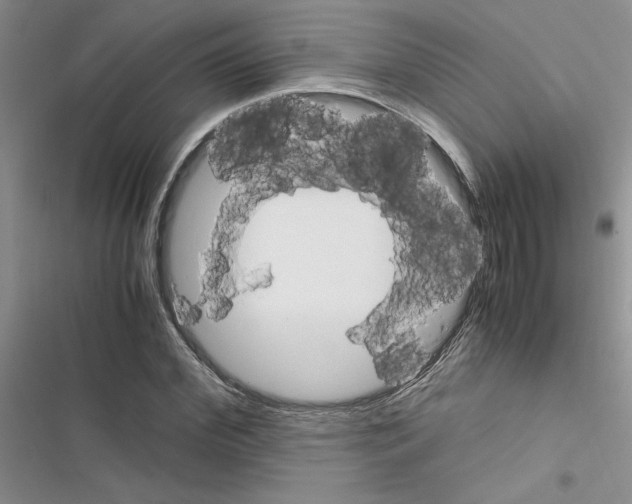 X0000116620972201001221336