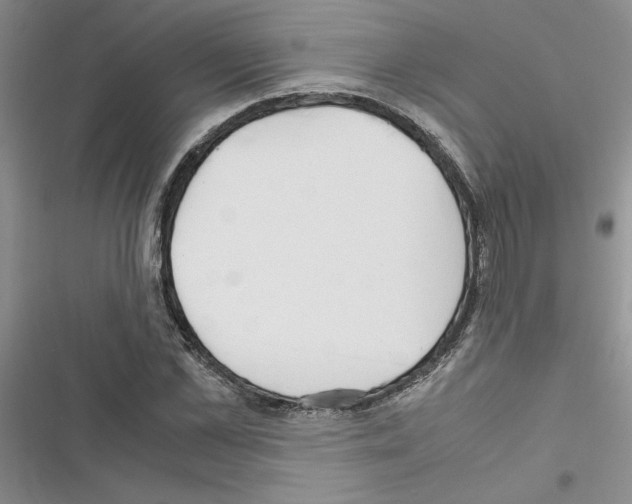 X0000116620973201001221336