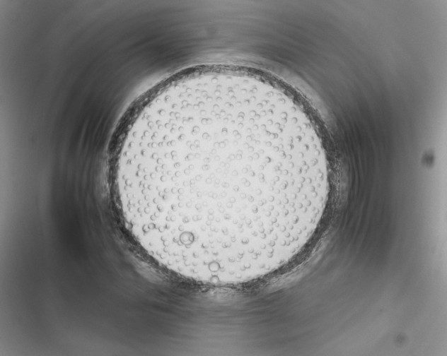 X0000116620974201001221336