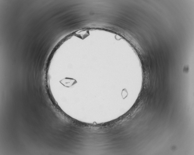 X0000116620976201001221336