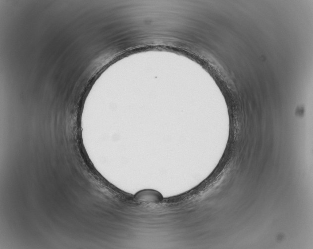 X0000116620977201001221336