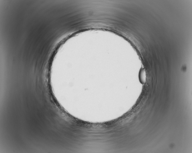 X0000116620979201001221336