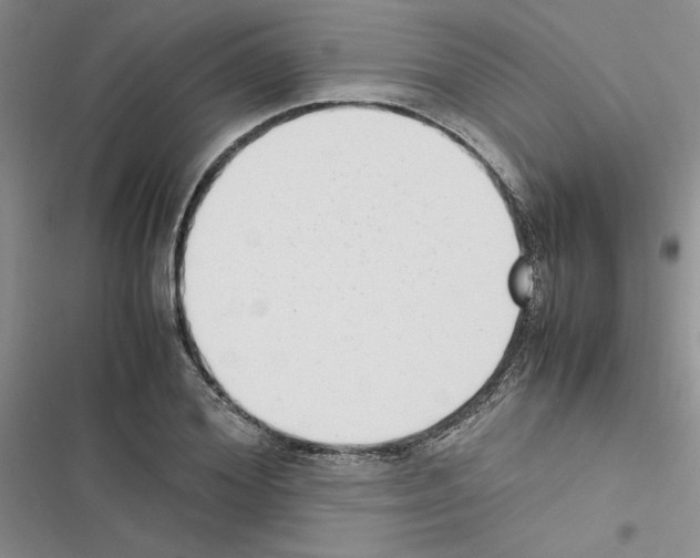 X0000116620980201001221336