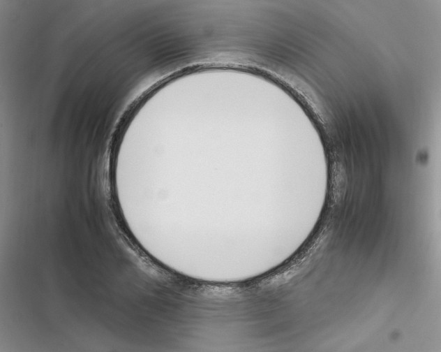 X0000116620982201001221336